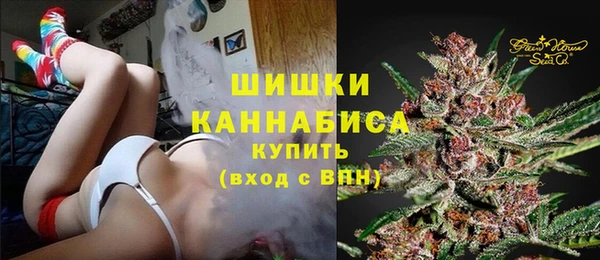 ECSTASY Богородск